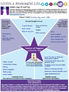 Living a Meaningful Life cover with star form for supports to reach goals in the middle years of life