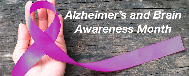 Purple plum color ribbon for raising awareness on Alzheimer's disease, Breastfeeding, Eating disorder, family caregivers, and epilepsy illness. Text reads, Alzheimer's and Brain Awareness Month.