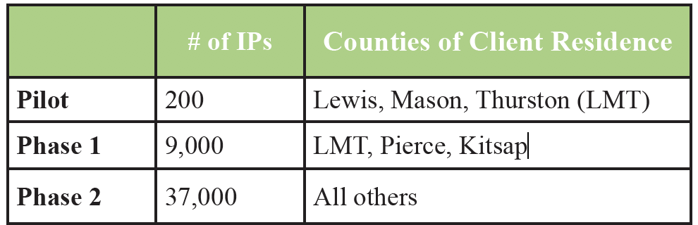 Table with data on numbers of IPs and counties.